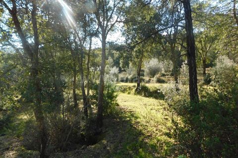 Helårsgrund i Fundao, Castelo Branco, Fundao - € 24.500 | Ref: 255230030 - foto 12