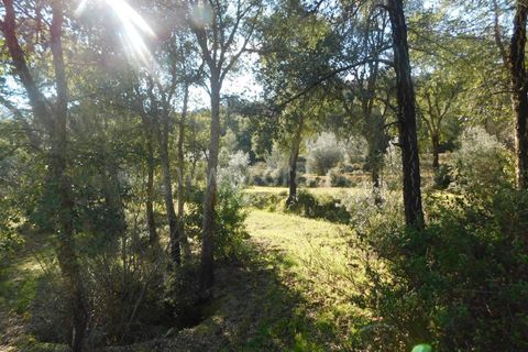 Helårsgrund i Fundao, Castelo Branco, Fundao - € 24.500 | Ref: 255230030 - foto 13