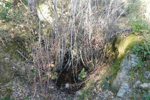 Helårsgrund i Fundao, Castelo Branco, Fundao - € 24.500 | Ref: 255230030 - foto 16