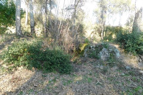 Helårsgrund i Fundao, Castelo Branco, Fundao - € 24.500 | Ref: 255230030 - foto 17