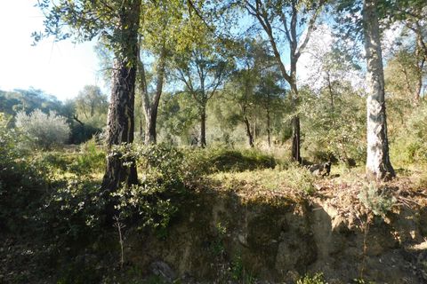 Helårsgrund i Fundao, Castelo Branco, Fundao - € 24.500 | Ref: 255230030 - foto 18