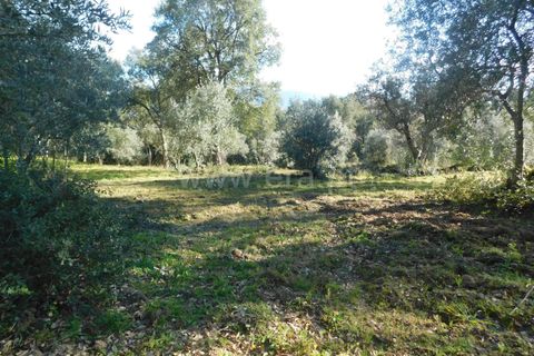 Helårsgrund i Fundao, Castelo Branco, Fundao - € 24.500 | Ref: 255230030 - foto 19