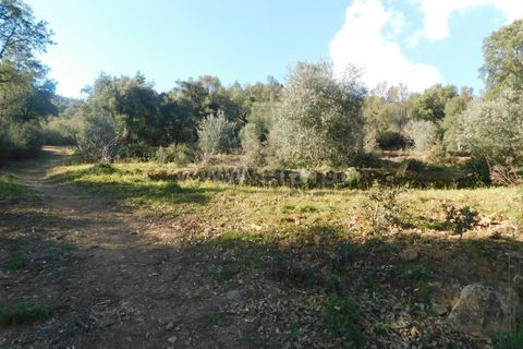 Helårsgrund i Fundao, Castelo Branco, Fundao - € 24.500 | Ref: 255230030 - foto 20