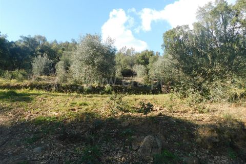 Helårsgrund i Fundao, Castelo Branco, Fundao - € 24.500 | Ref: 255230030 - foto 21