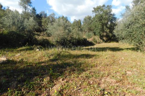 Helårsgrund i Fundao, Castelo Branco, Fundao - € 24.500 | Ref: 255230030 - foto 23