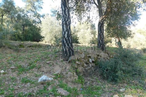 Helårsgrund i Fundao, Castelo Branco, Fundao - € 24.500 | Ref: 255230030 - foto 24
