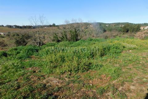 Tomt i Fundao, Castelo Branco, Fundao - € 37 500 | Ref: 255230008 - foto 2