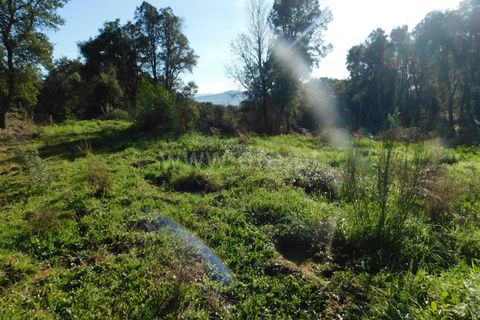 Tomt i Fundao, Castelo Branco, Fundao - € 37 500 | Ref: 255230008 - foto 3
