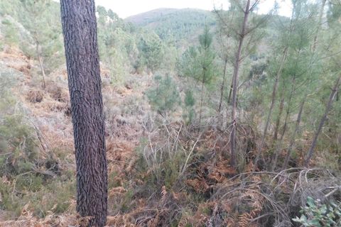 Helårsgrund i Fundao, Castelo Branco, Fundao - € 18.500 | Ref: 255230047 - foto 2
