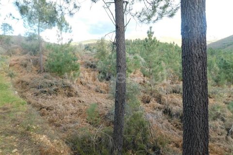 Helårsgrund i Fundao, Castelo Branco, Fundao - € 18.500 | Ref: 255230047 - foto 3