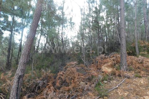 Helårsgrund i Fundao, Castelo Branco, Fundao - € 18.500 | Ref: 255230047 - foto 4