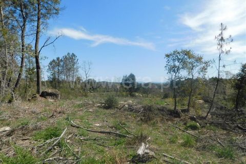 Helårsgrund i Fundao, Castelo Branco, Fundao - € 27.500 | Ref: 255230072 - foto 2