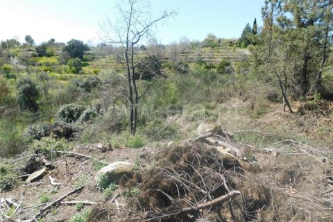 Helårsgrund i Fundao, Castelo Branco, Fundao - € 27.500 | Ref: 255230072 - foto 4