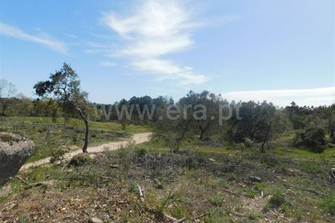 Helårsgrund i Fundao, Castelo Branco, Fundao - € 27.500 | Ref: 255230072 - foto 6