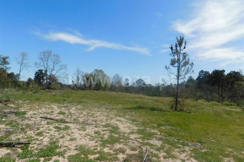 Helårsgrund i Fundao, Castelo Branco, Fundao - € 27.500 | Ref: 255230072 - foto 7