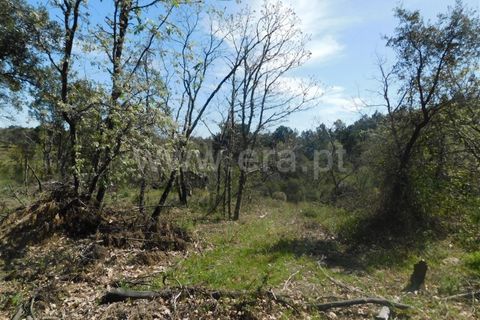 Helårsgrund i Fundao, Castelo Branco, Fundao - € 27.500 | Ref: 255230072 - foto 8