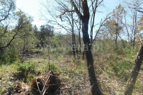 Helårsgrund i Fundao, Castelo Branco, Fundao - € 27.500 | Ref: 255230072 - foto 9