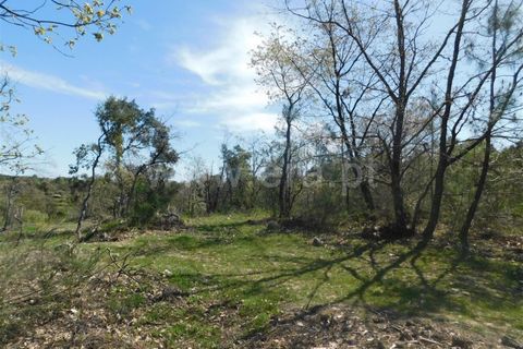 Helårsgrund i Fundao, Castelo Branco, Fundao - € 27.500 | Ref: 255230072 - foto 10