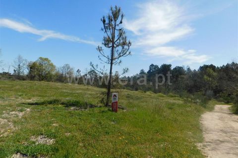 Helårsgrund i Fundao, Castelo Branco, Fundao - € 27.500 | Ref: 255230072 - foto 11