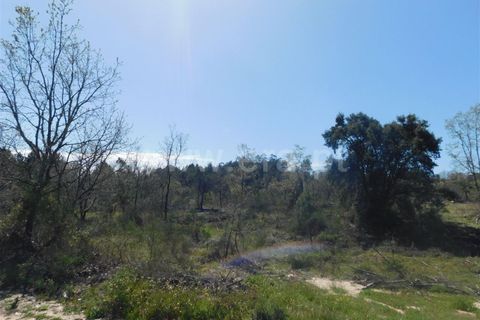 Helårsgrund i Fundao, Castelo Branco, Fundao - € 27.500 | Ref: 255230072 - foto 12