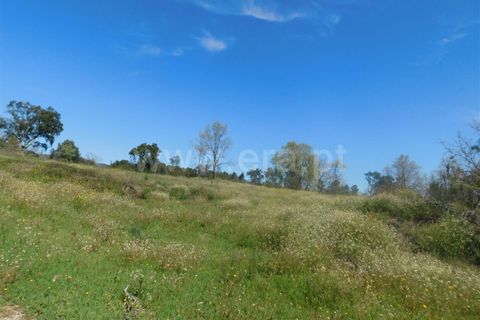 Helårsgrund i Fundao, Castelo Branco, Fundao - € 27.500 | Ref: 255230072 - foto 13