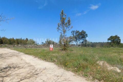 Helårsgrund i Fundao, Castelo Branco, Fundao - € 27.500 | Ref: 255230072 - foto 14