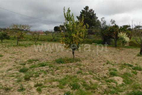 Landejendom i Fundao, Castelo Branco, Fundao - € 250.000 | Ref: 255230073 - foto 27