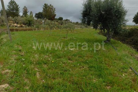 Landejendom i Fundao, Castelo Branco, Fundao - € 250.000 | Ref: 255230073 - foto 28