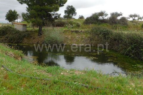 Landejendom i Fundao, Castelo Branco, Fundao - € 250.000 | Ref: 255230073 - foto 29