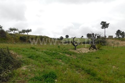 Landejendom i Fundao, Castelo Branco, Fundao - € 250.000 | Ref: 255230073 - foto 30