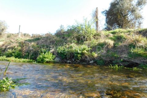 Helårsgrund i Fundao, Castelo Branco, Fundao - € 14.500 | Ref: 255230077 - foto 3