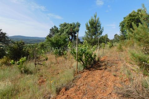 Helårsgrund i Fundao, Castelo Branco, Fundao - € 39.000 | Ref: 255230067 - foto 3
