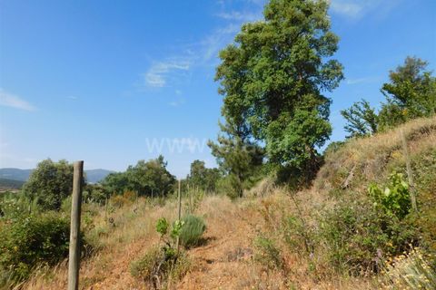 Helårsgrund i Fundao, Castelo Branco, Fundao - € 39.000 | Ref: 255230067 - foto 4