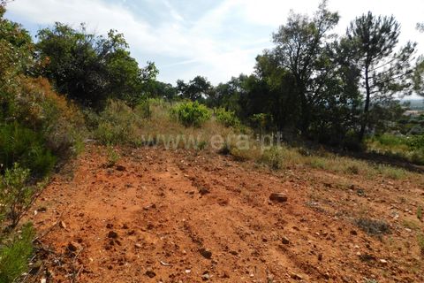 Helårsgrund i Fundao, Castelo Branco, Fundao - € 39.000 | Ref: 255230067 - foto 5