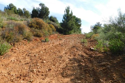 Helårsgrund i Fundao, Castelo Branco, Fundao - € 39.000 | Ref: 255230067 - foto 6