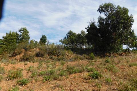 Helårsgrund i Fundao, Castelo Branco, Fundao - € 39.000 | Ref: 255230067 - foto 7