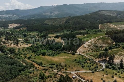 Landejendom i Fundao, Castelo Branco, Fundao - € 37.500 | Ref: 255230071 - foto 3