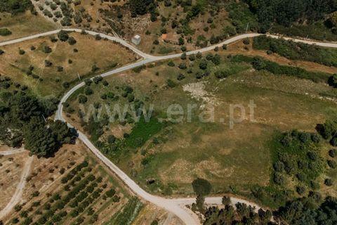 Landejendom i Fundao, Castelo Branco, Fundao - € 37.500 | Ref: 255230071 - foto 5