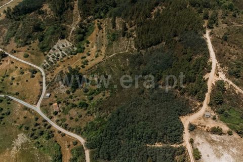Landejendom i Fundao, Castelo Branco, Fundao - € 37.500 | Ref: 255230071 - foto 6