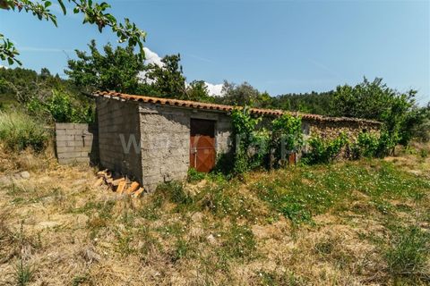 Landejendom i Fundao, Castelo Branco, Fundao - € 37.500 | Ref: 255230071 - foto 9