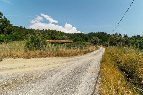 Landejendom i Fundao, Castelo Branco, Fundao - € 37.500 | Ref: 255230071 - foto 10
