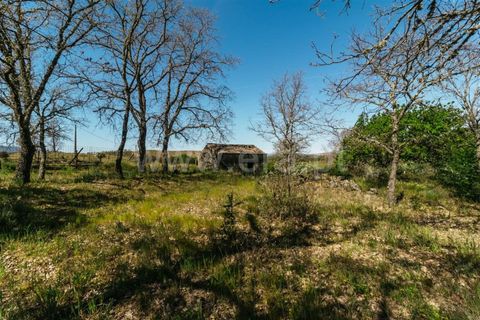 Helårsgrund i Fundao, Castelo Branco, Fundao - € 59.000 | Ref: 255230082 - foto 1