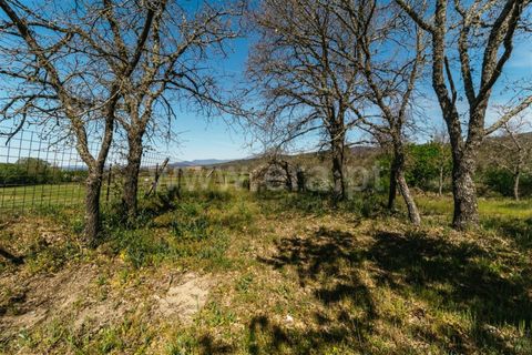 Helårsgrund i Fundao, Castelo Branco, Fundao - € 59.000 | Ref: 255230082 - foto 2