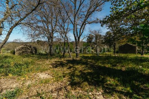 Helårsgrund i Fundao, Castelo Branco, Fundao - € 59.000 | Ref: 255230082 - foto 3