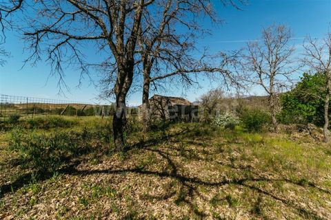 Helårsgrund i Fundao, Castelo Branco, Fundao - € 59.000 | Ref: 255230082 - foto 4