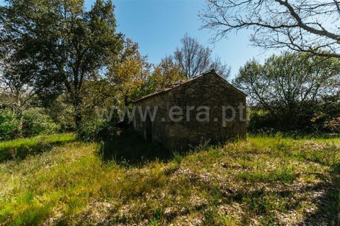 Helårsgrund i Fundao, Castelo Branco, Fundao - € 59.000 | Ref: 255230082 - foto 5
