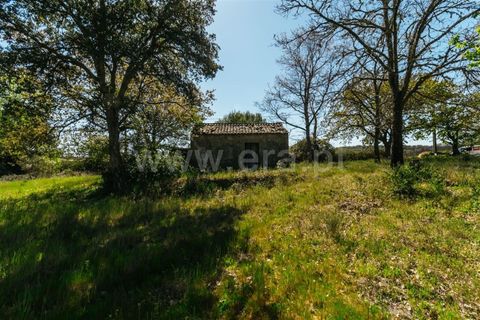 Helårsgrund i Fundao, Castelo Branco, Fundao - € 59.000 | Ref: 255230082 - foto 6
