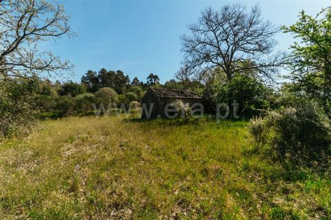 Helårsgrund i Fundao, Castelo Branco, Fundao - € 59.000 | Ref: 255230082 - foto 7