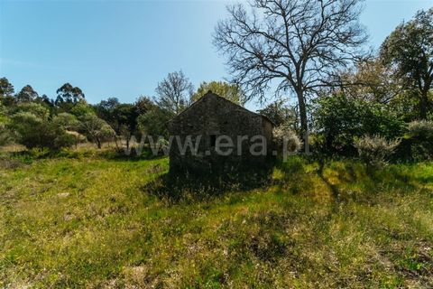 Helårsgrund i Fundao, Castelo Branco, Fundao - € 59.000 | Ref: 255230082 - foto 8