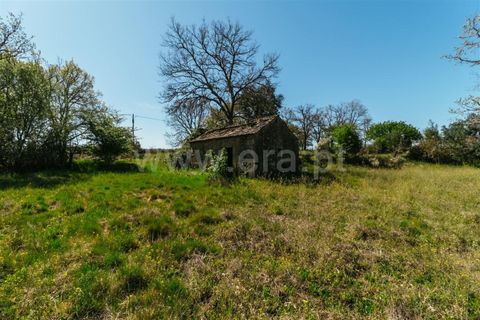 Helårsgrund i Fundao, Castelo Branco, Fundao - € 59.000 | Ref: 255230082 - foto 9